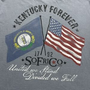 Southern Fried Cotton Shirt Mens Medium Blue Kentucky Forever USA Flag